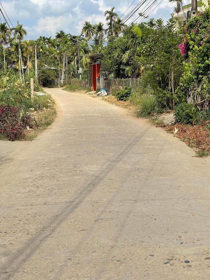 Đất vườn Nghĩa Trung, Tư Nghĩa 500m² giá chỉ 800 triệu - Cơ hội đầu tư tuyệt vời!