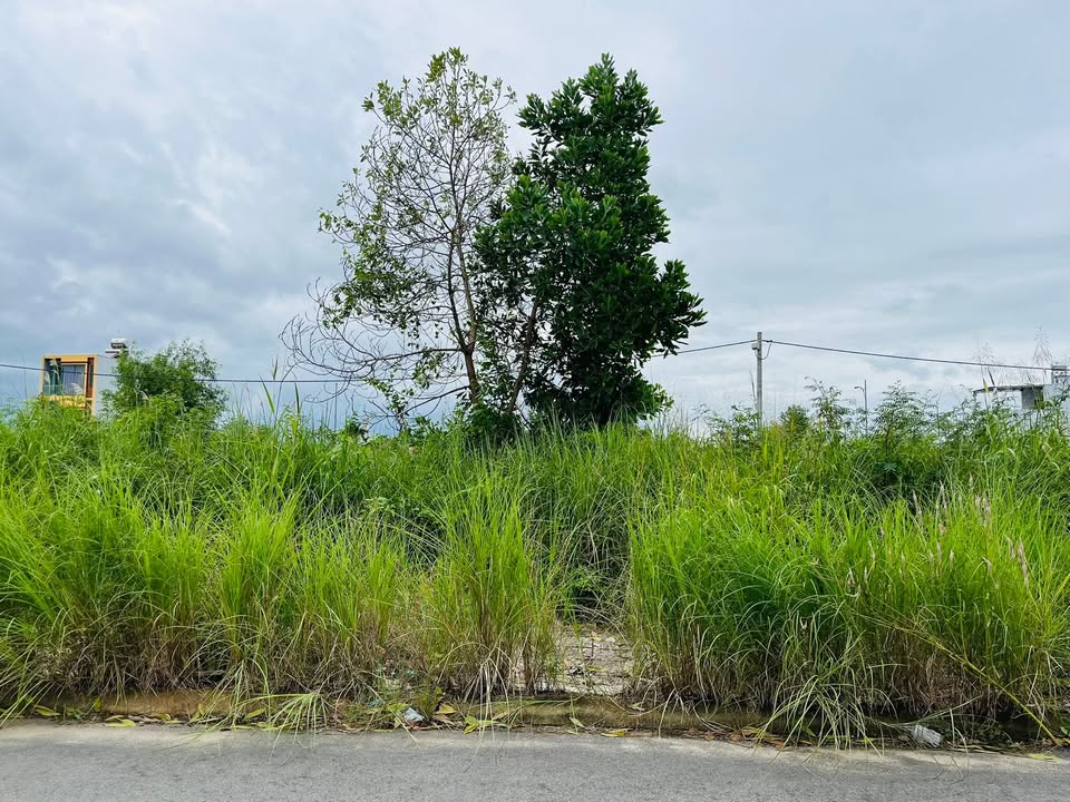 Đất mặt tiền KDC Green City La Hà 100m² giá 1.3 tỷ - Vị trí đắc địa gần trung tâm!