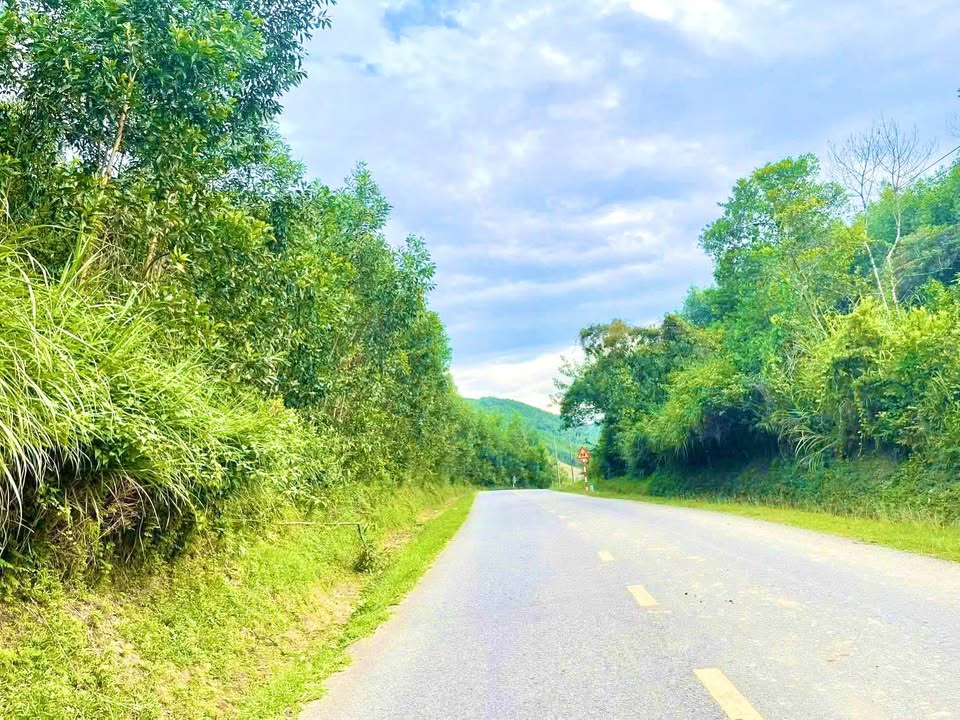 Đất Farm 21600m² tại Sơn Mai, Minh Long - Giá chỉ 720 triệu, Cơ hội đầu tư hấp dẫn!