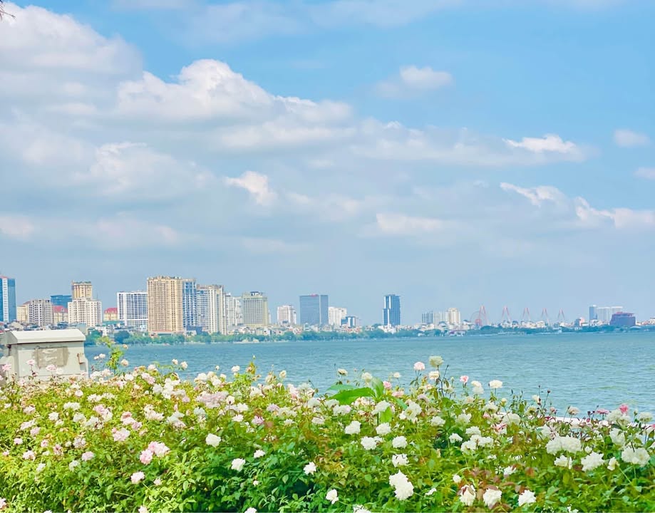 Đất Võng Thị - Tây Hồ 75m² giá 12 tỷ - Đầu tư sinh lời hấp dẫn!