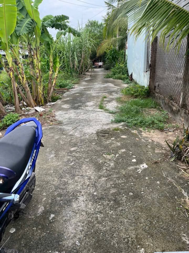 Đất nền xã Mỹ Hạnh Nam, Đức Hòa, Long An 166m² giá 1.55 tỷ - Cơ hội đầu tư hấp dẫn!