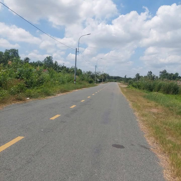 Đất mặt tiền sông Vàm Cỏ Tây tại Bình Tịnh, Tân Trụ, 8000m² giá 28 tỷ - Cơ hội đầu tư tuyệt vời!