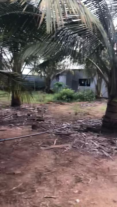 Đất Farm mặt tiền Quốc lộ 60, xã Bình Phú, 3000m² - Đầu tư lý tưởng cho nghỉ dưỡng!