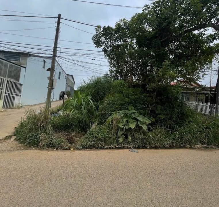 Đất 2 mặt tiền đường Nguyễn Hoàng, Đà Lạt 76.5m² giá 1.9 tỷ - Cơ hội đầu tư tuyệt vời!