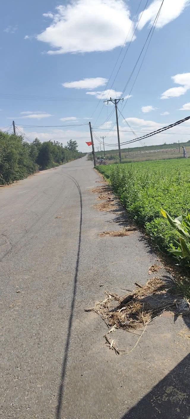 Bán lô đất trục chính xã Lai Hạ 106m² - Tiềm năng sinh lời cao!