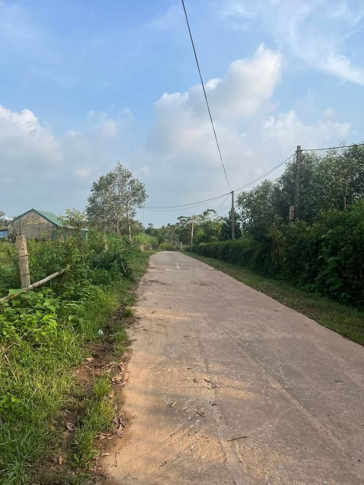 Đất thổ cư Phúc Đồng 800m² giá chỉ 500 triệu - Tiềm năng phát triển tốt!