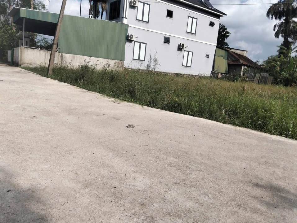 Đất thổ cư Thôn Tiền Bộ, Thạch Tân 175m² giá 1.4 tỷ - Đường lớn, tiện lợi giao thông!