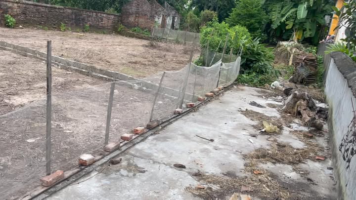 Đất nền Quang Hưng, Phù Cừ, Hưng Yên 80m² giá 500 triệu - Sổ đỏ chính chủ, ô tô vào tận đất!