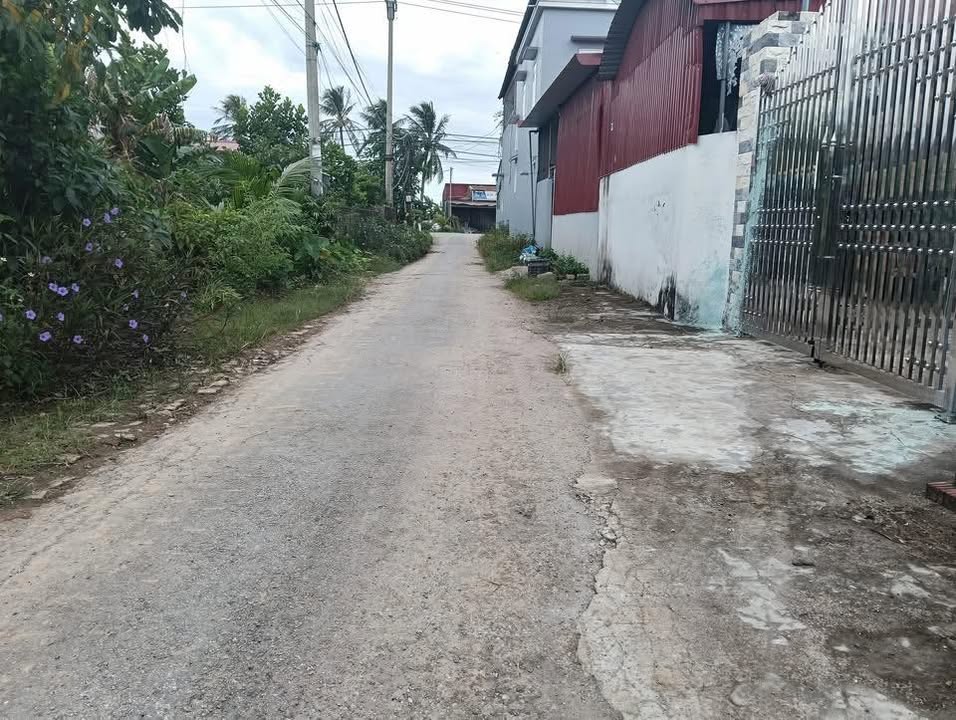 Đất thổ cư Quang Phục, Tiên Lãng 105m² giá 1 tỷ - Cơ hội đầu tư hấp dẫn!