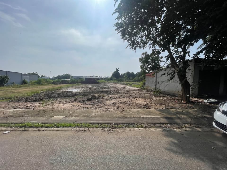 Đất nền mặt tiền đường nhựa số 8, xã Long Điền, 600m² - Cơ hội đầu tư hấp dẫn!