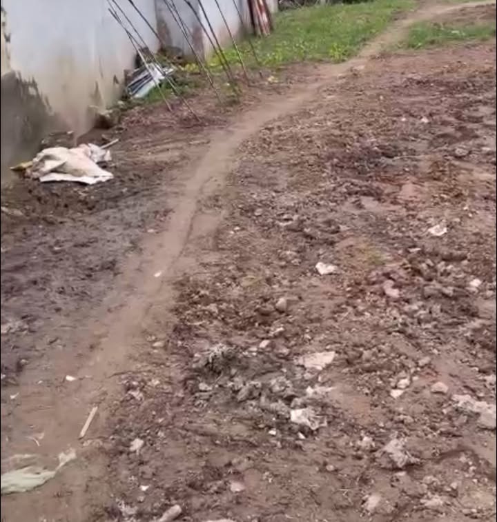 Đất nền Vạn Tường, Bảo Khê 58,2m² giá 1,4 tỷ - Cơ hội đầu tư tuyệt vời!