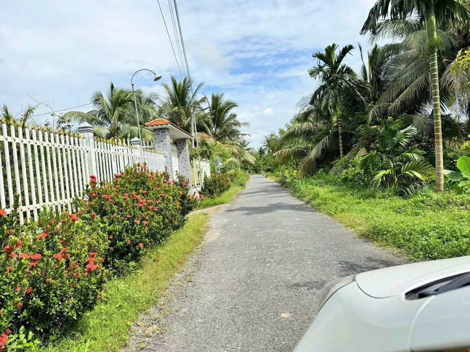 Đất nền dự án tại xã Trung Hiệp, Vĩnh Long 110m² giá chỉ 250 triệu - Đầu tư sinh lời hấp dẫn!