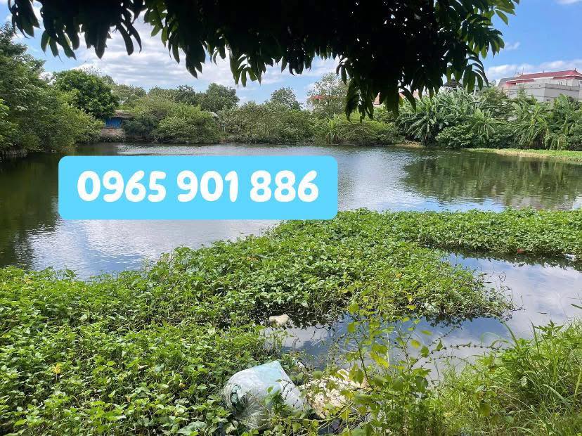 Lô góc FrontHouse Lã Côi, Phù Đổng 119m² - Đầu tư sinh lời ngay!