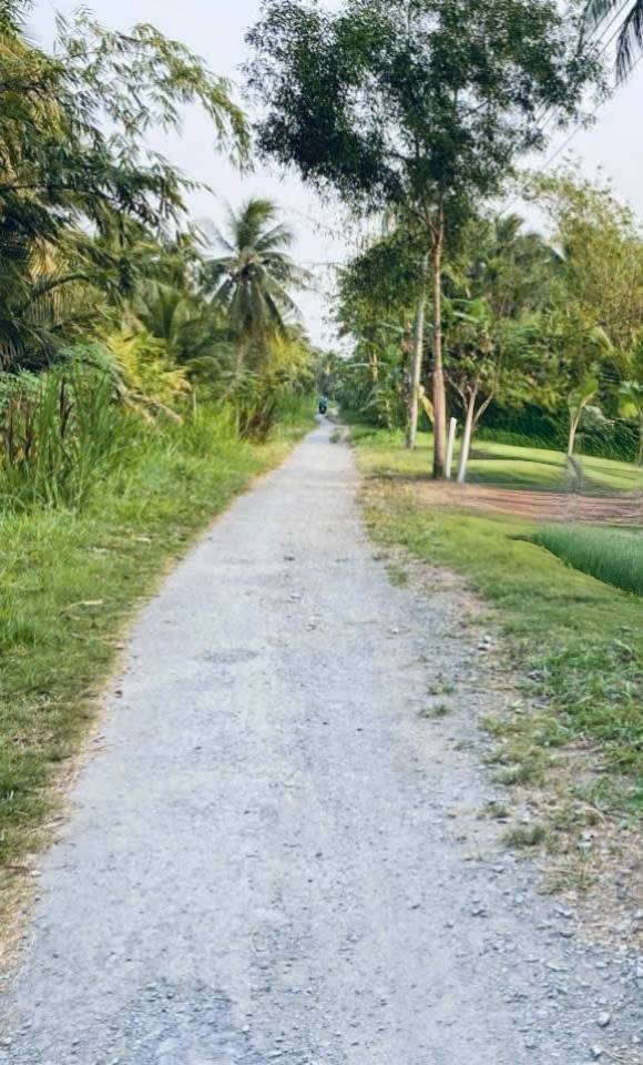 Đất thổ cư Trung Ngãi Vũng Liêm 1213m² giá 1 tỷ - Cơ hội đầu tư hấp dẫn!