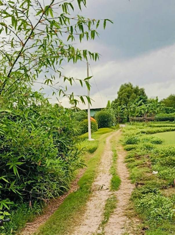 Đất thổ cư 110m² tại Trung Thành, Vũng Liêm - Giá chỉ 310 triệu có thương lượng!