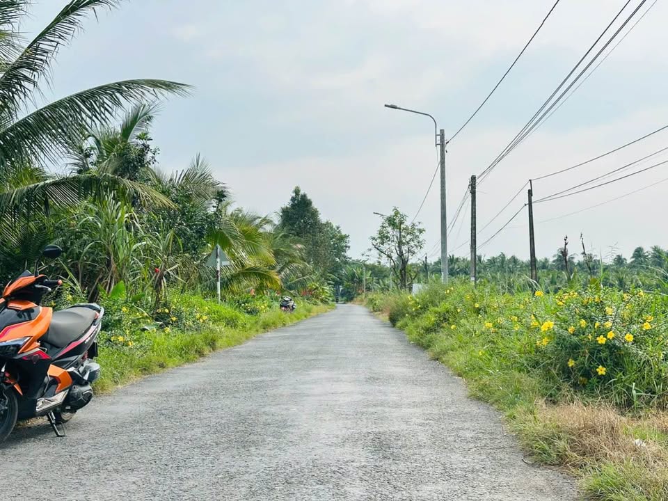 Đất nền Vũng Liêm 1024m² giá 1.6 tỷ - Cơ hội đầu tư tuyệt vời!