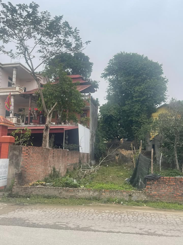 Đất nền mặt đường Phật Tích Từ Sơn 112m² – Đầu tư sinh lời lớn!