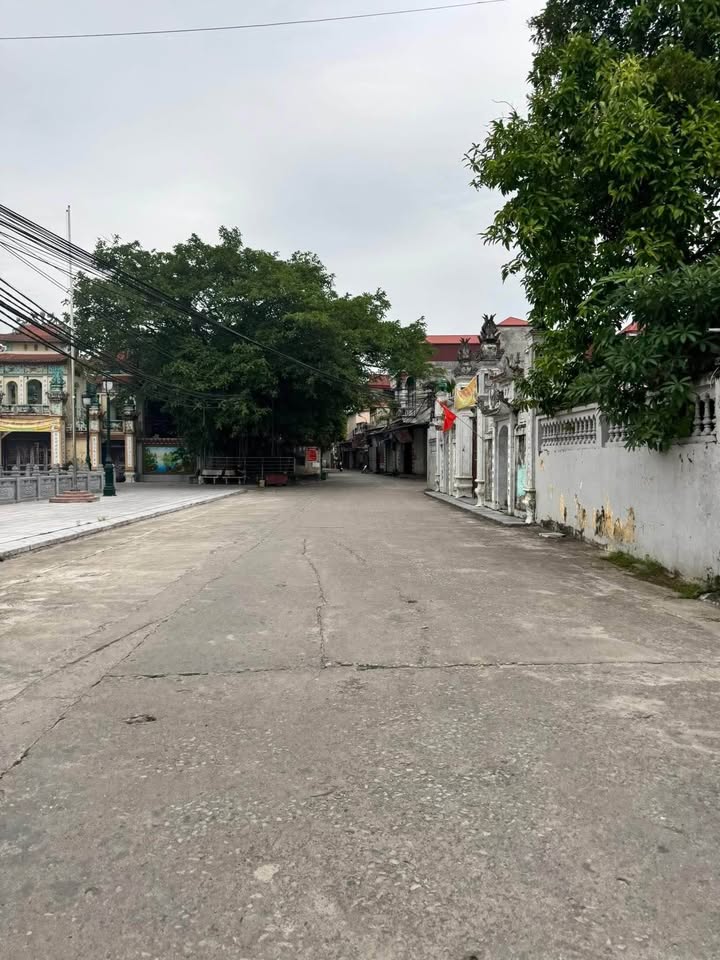 Đất nền Hương Mạc, Từ Sơn 50m² giá 1 tỷ - Đầu tư sinh lời hiếm có!