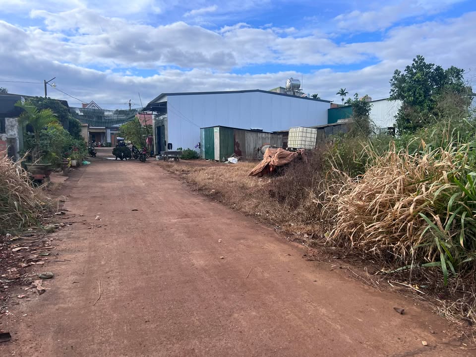 Đất thổ cư Phú Lộc, Krông Năng 127.5m² giá 15.3 tỷ - Đầu tư sinh lời ngay!