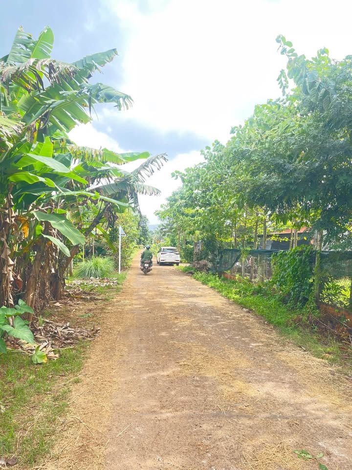 Lô đất đẹp 2 sào tại Ea Kao, Buôn Ma Thuột giá 5,6 tỷ - Đầu tư sinh lời ngay!