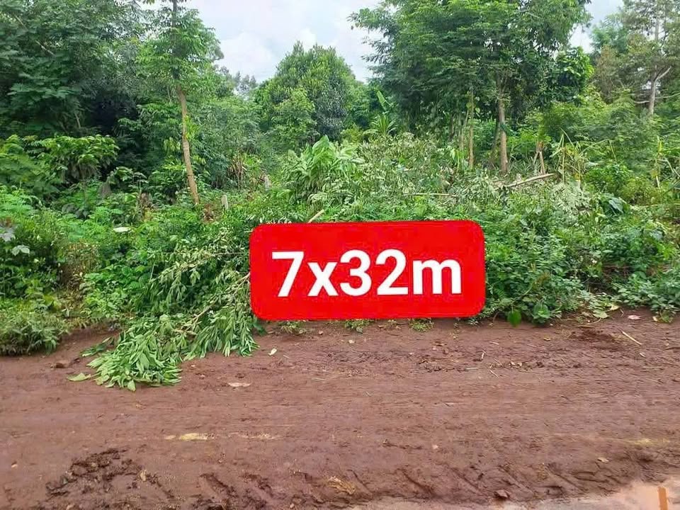 Đất nền Cư Kuin 224m² giá chỉ 520 triệu - Cơ hội đầu tư hấp dẫn!