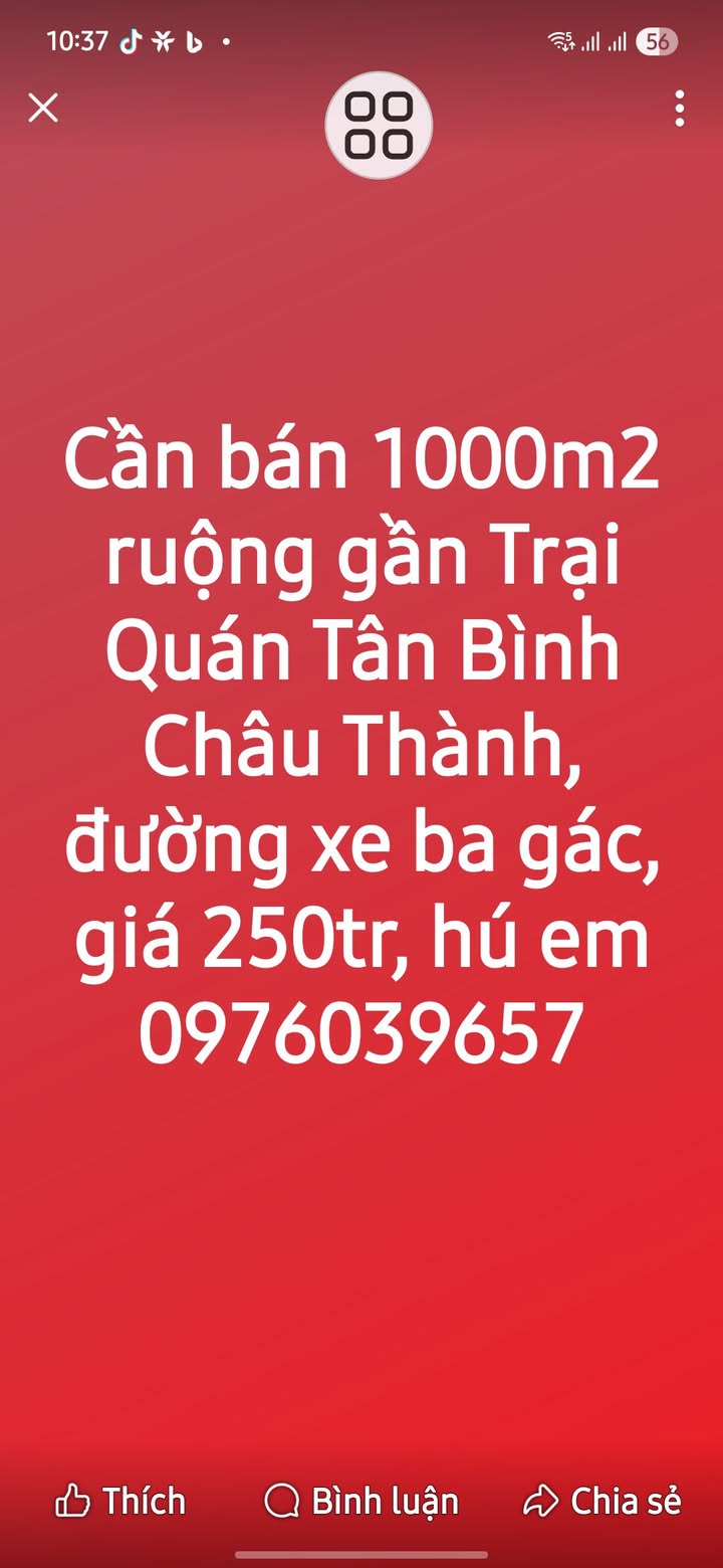 Đất Farm 1000m² Tân Bình Châu Thành giá 200 triệu - Cơ hội đầu tư hấp dẫn!