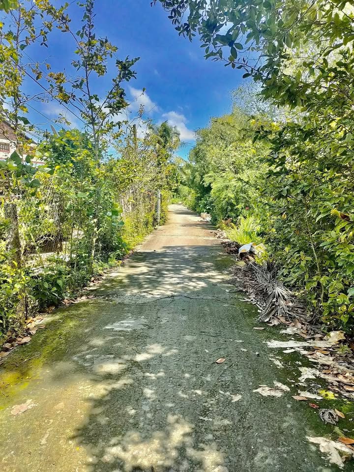 Đất nền thổ cư Tân Dương 120m² giá 550 triệu - View sông thoáng mát!