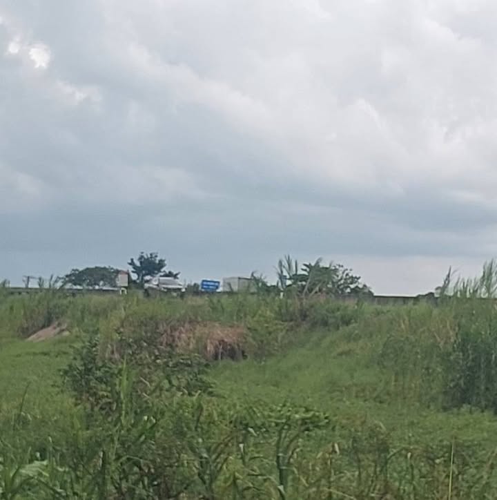 Đất nền xã Mỹ An Hưng B, Lấp Vò 9000m² giá 450 triệu - Đầu tư sinh lời hấp dẫn!