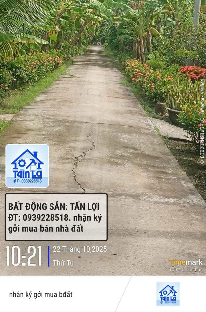 Đất nền Cần Thơ 59m² giá 300 triệu - Sổ hồng riêng chính chủ!