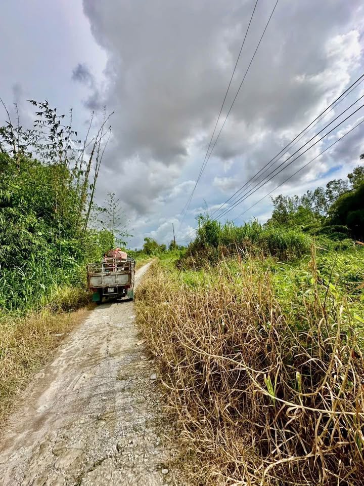 Đất thổ cư Đông Thuận, Thới Lai, Cần Thơ 105m² - Giá hấp dẫn chỉ 2xx triệu!