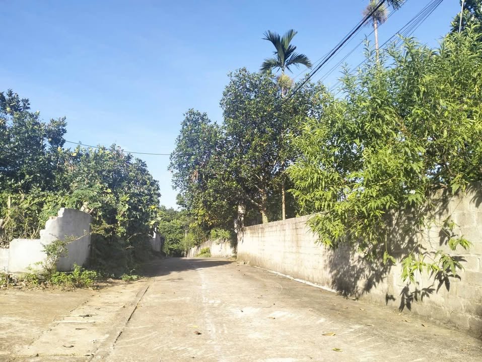 Đất ở Suối Hai, Ba Vì 491m² giá 2 tỷ - Pháp lý rõ ràng, sẵn sàng xây dựng!