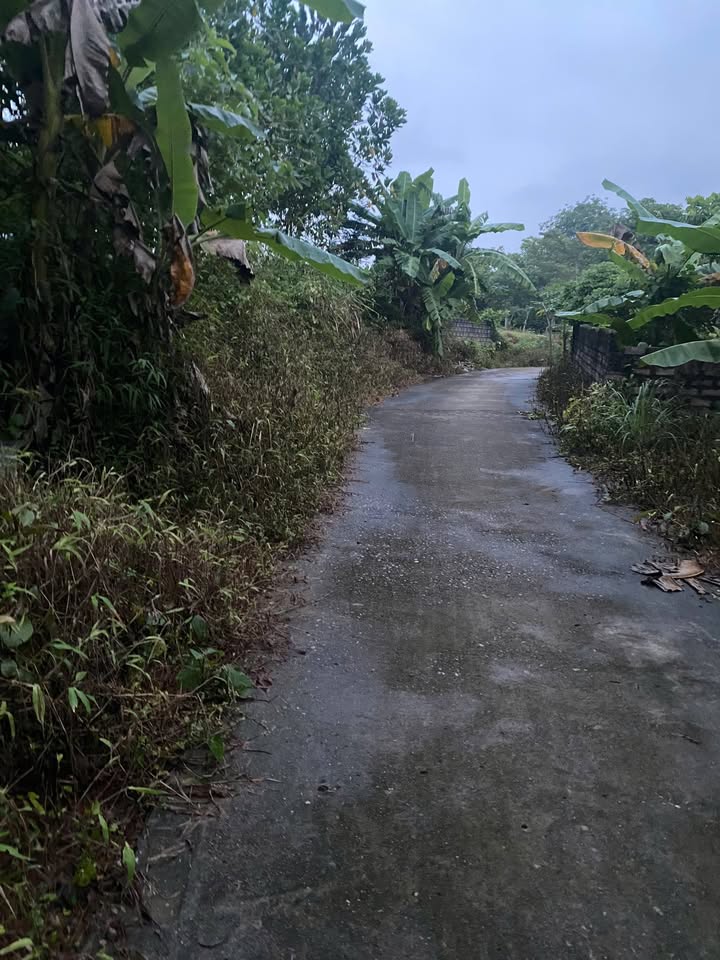 Đất nền Yên Bài, Ba Vì 4000m² giá 10 tỷ - Không khí trong lành, view đẹp