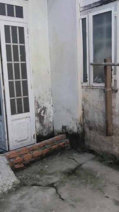 Nhà riêng xã Phước Lý, Cần Giuộc 36m² giá 290 triệu - Cơ hội sở hữu ngay!