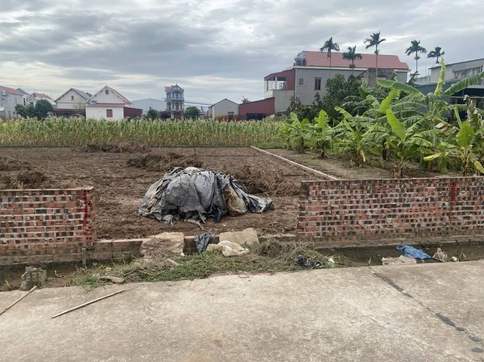 Đất nền Minh Tân Lương Tài 81m² giá 1 tỷ - Đầu tư sinh lời ngay!