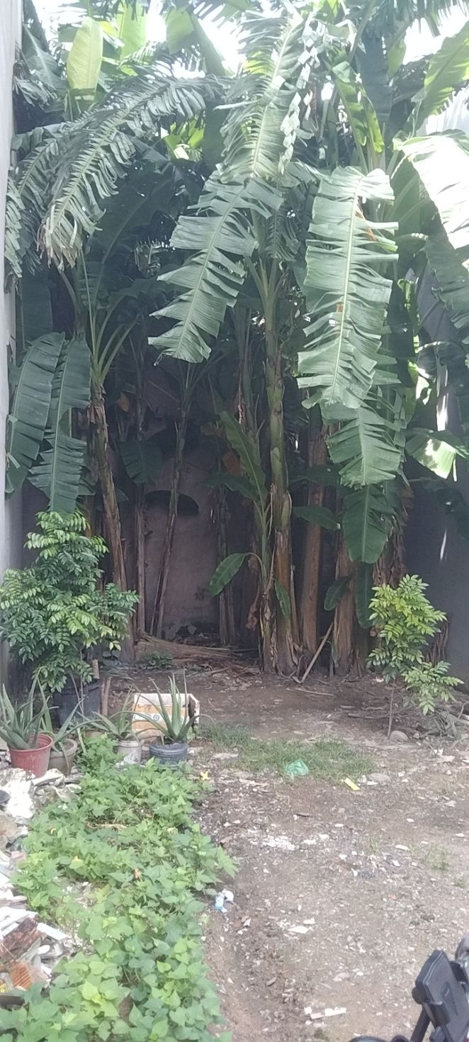 Đất nền phường Đông Hòa, Dĩ An 66m² giá 3.25 tỷ - Cơ hội vàng cho đầu tư!