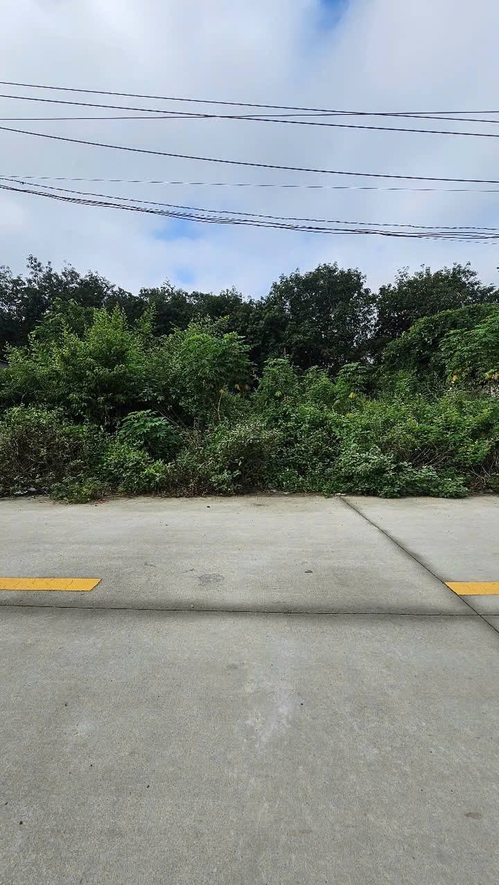 Đất Tân Định, Bắc Tân Uyên 180m² giá 1.25 tỷ - Tiềm năng đầu tư lớn!