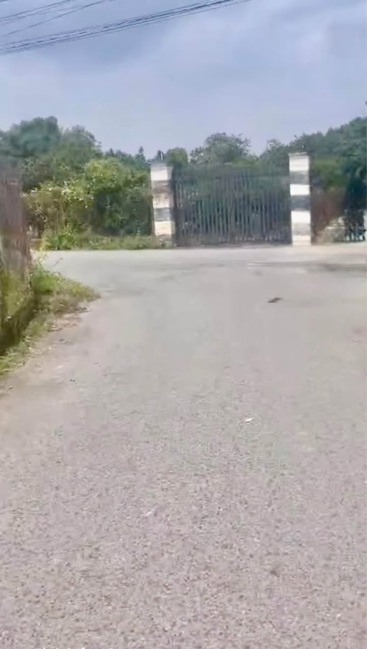 Đất thổ cư Bạch Đằng, Tân Uyên, 100m² giá 1.199 tỷ - Lô đất lý tưởng cho tài chính thấp!