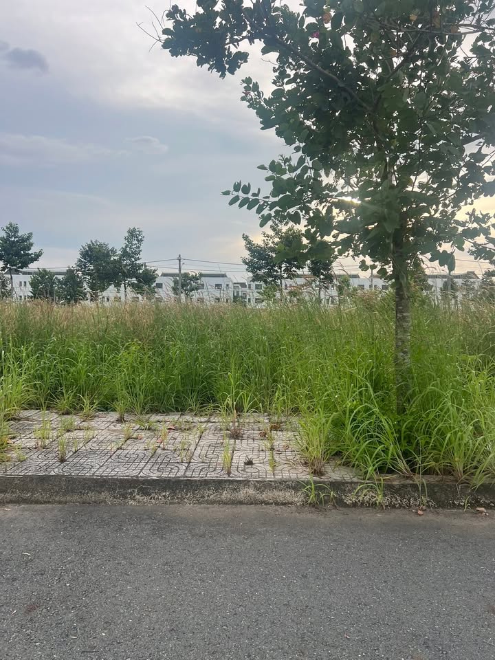 Lô đất mặt tiền ấp 4 Trừ Văn Thố 75m² giá chỉ 600 triệu - Cơ hội đầu tư hấp dẫn!