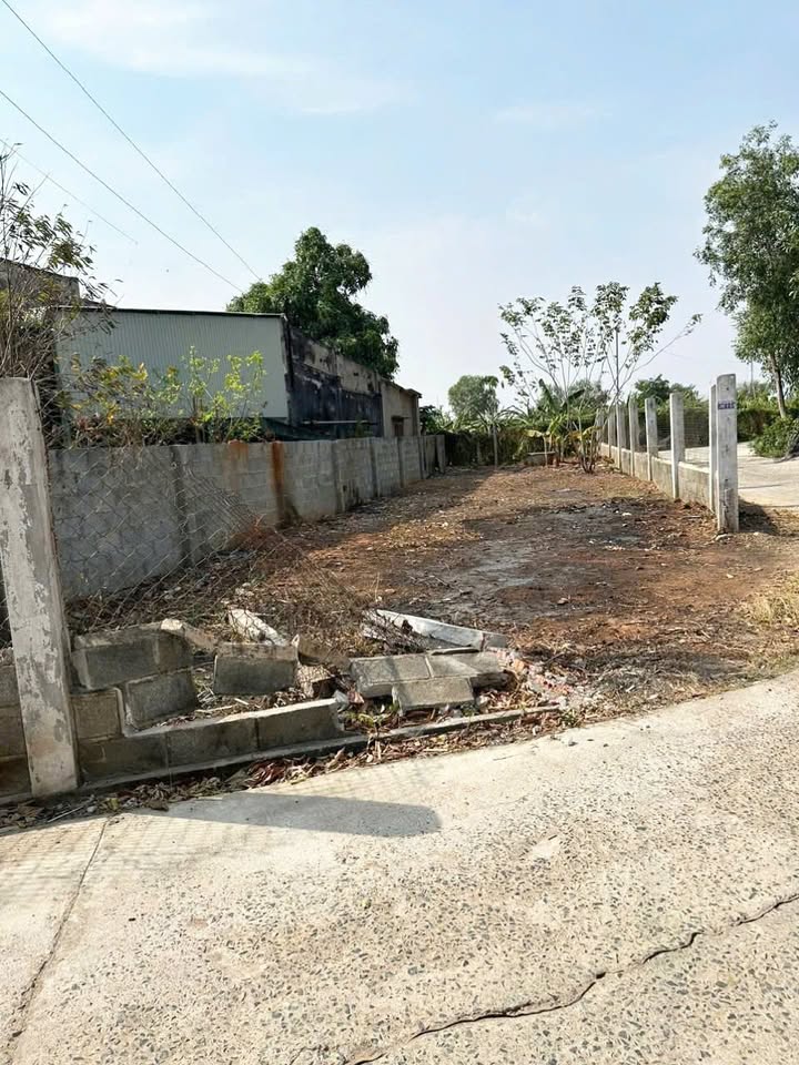 Đất Thổ Cư Hai Mặt Tiền Tại Xã Tuyên Quang, Lâm Đồng - Giá 1.1 Tỷ, Sẵn Sàng Sở Hữu!