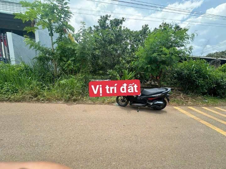 Đất nền 750m² xã Sông Thao, giá 2 tỷ - Sổ hồng chính chủ, đầu tư sinh lời!