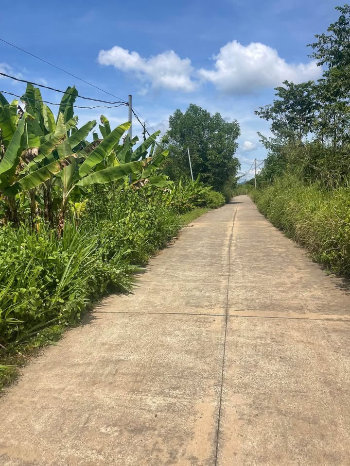 Đất nền Phú Vinh, Định Quán, 150m² giá 299 triệu - Cơ hội đầu tư tuyệt vời!