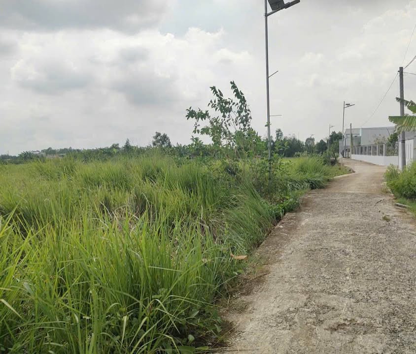 Đất thổ cư 108m² tại xã Mỹ Lộc, Cần Giuộc giá 750 triệu - Đường xe hơi thông thoáng!