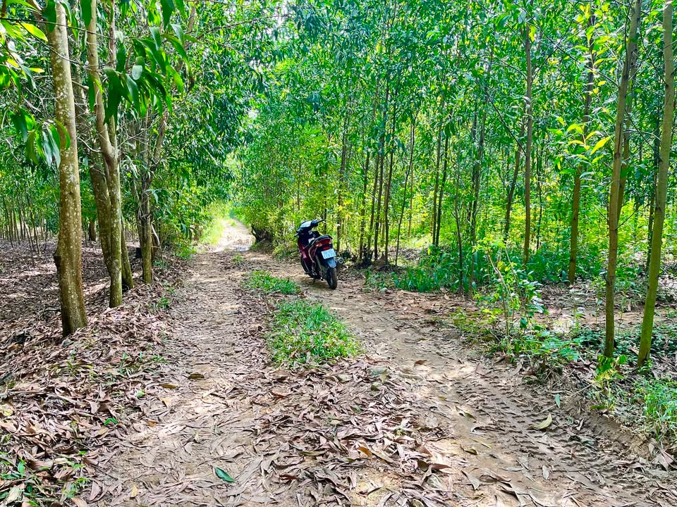 Đất nền 1 sào tại xã Xuân Hưng, Đồng Nai - Giá 350 triệu, sổ đỏ chính chủ!