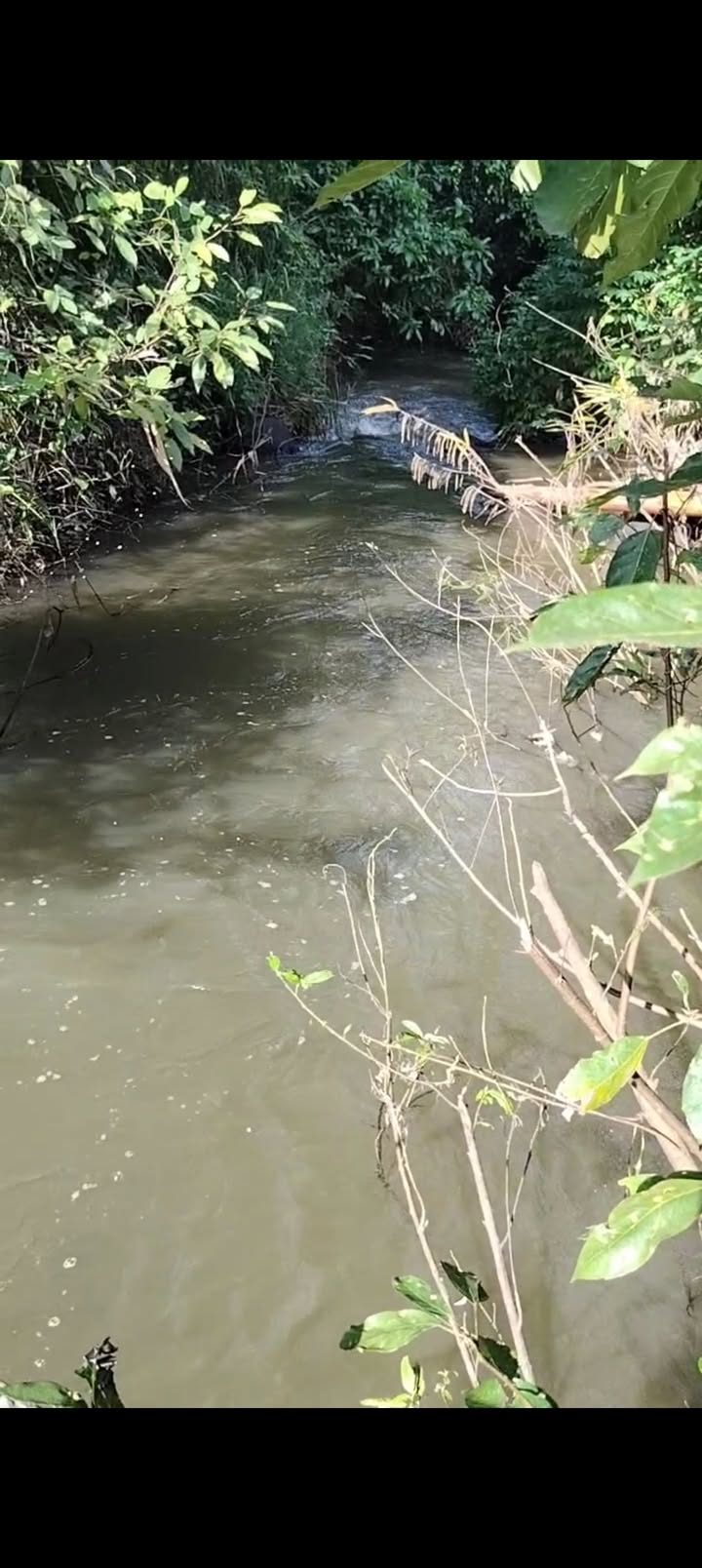 Đất nông nghiệp Suối Nho 1.4ha giá 4.2 tỷ - Phù hợp cho trang trại