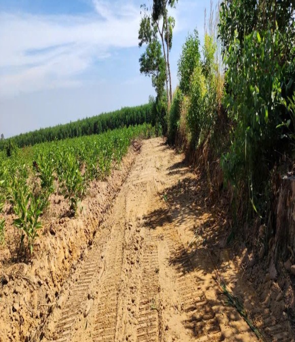 Đất nền Xuân Hòa 1 sào giá 200 triệu - Đầu tư sinh lời ngay!