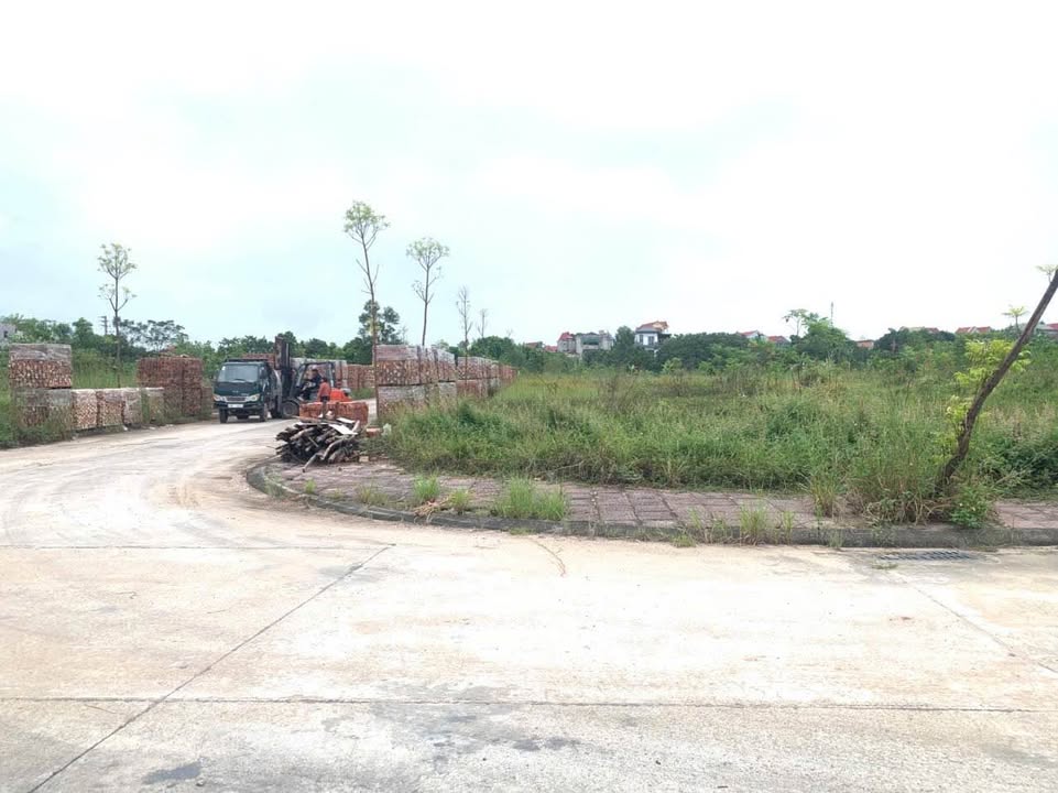 Đất nền Lô góc tại ngã 3 Đông Lâu, Thanh Vân, 154m² chỉ 3,1 tỷ - Cơ hội đầu tư tuyệt vời!