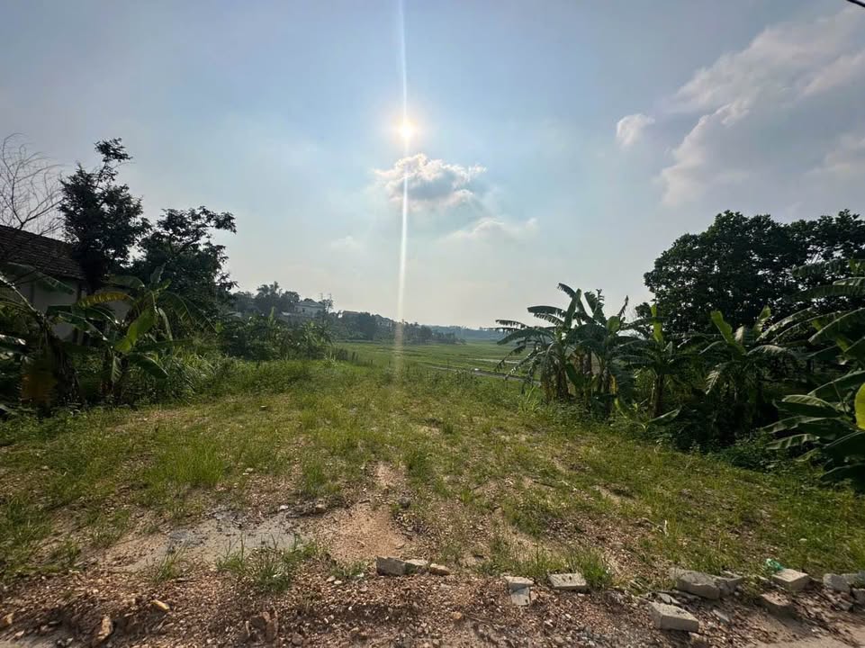 Đất nền 155m² tại Thôn Sơn Thanh, Tam Đảo - Cơ hội đầu tư sinh lời!