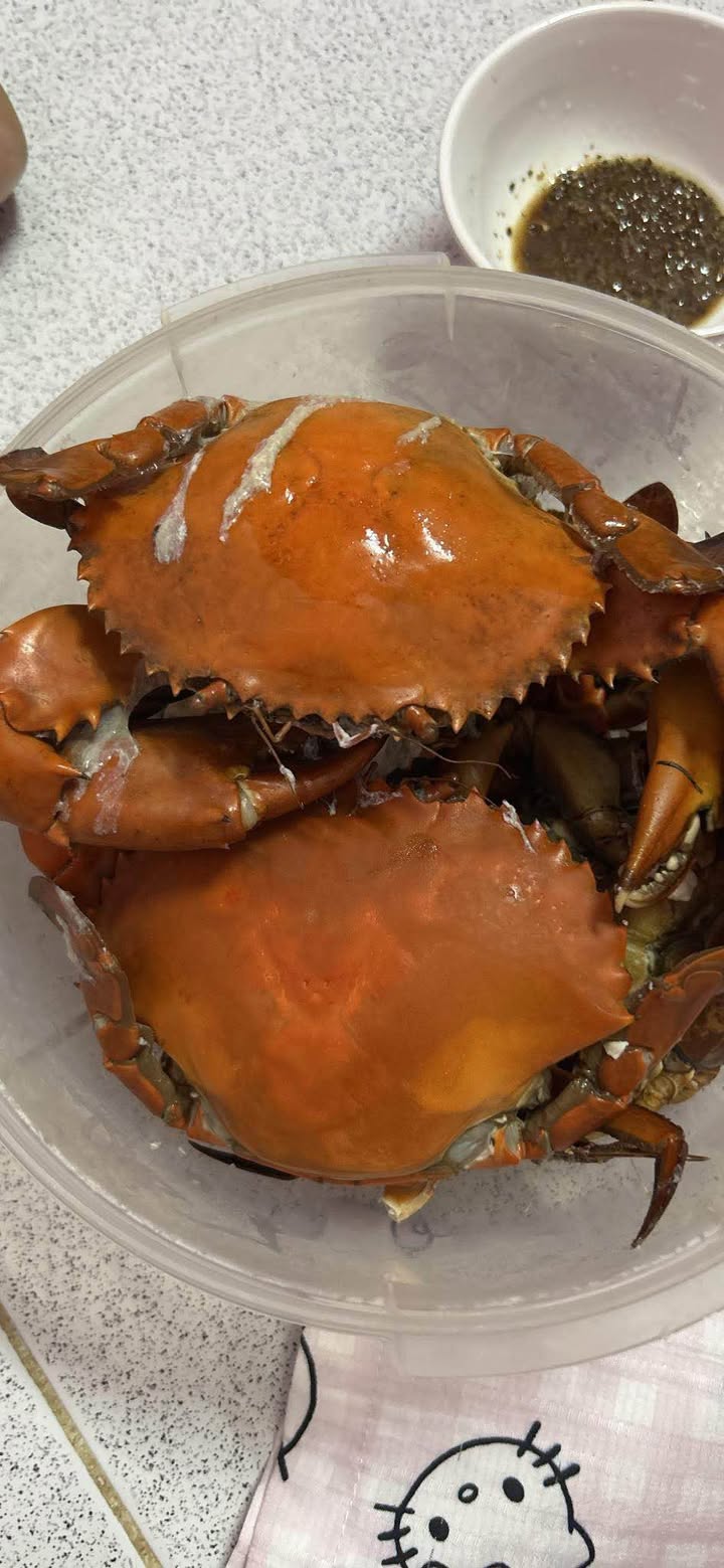 Đất nền Ninh Điền 125m² giá chỉ 150 triệu - Cơ hội đầu tư hiếm có!