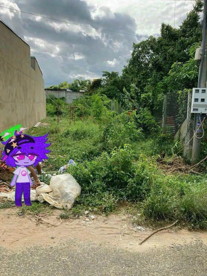 Đất nền Long Thành Nam 126m² giá thương lượng - Sổ đỏ chính chủ!