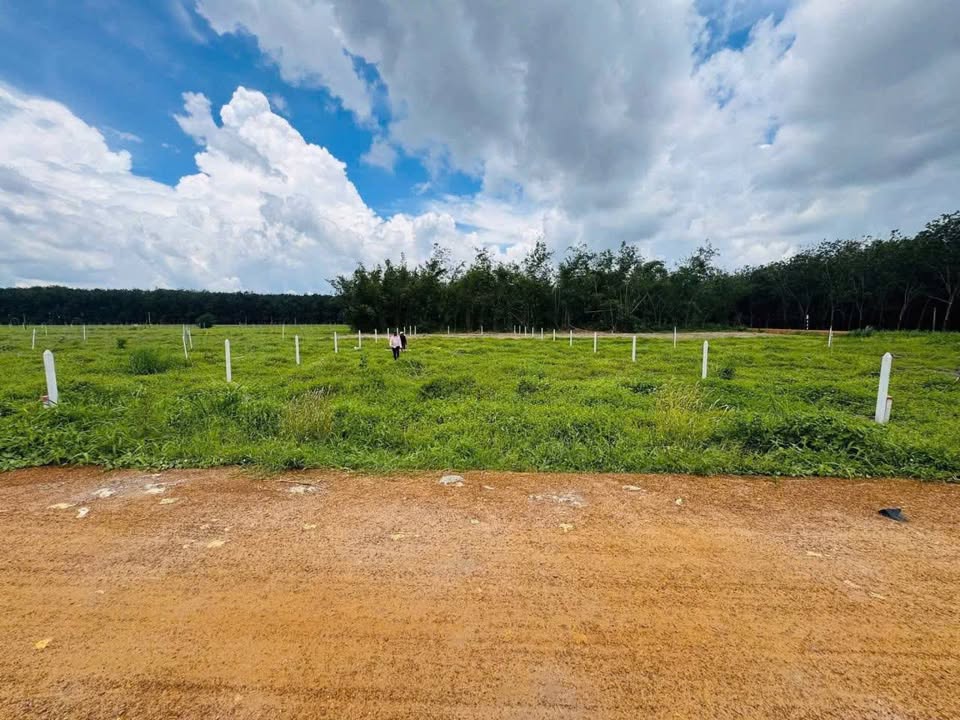 Đất thổ cư Lộc Ninh, Dương Minh Châu 200m² giá 252 triệu - Đường thông thoáng, tiện ích đầy đủ!